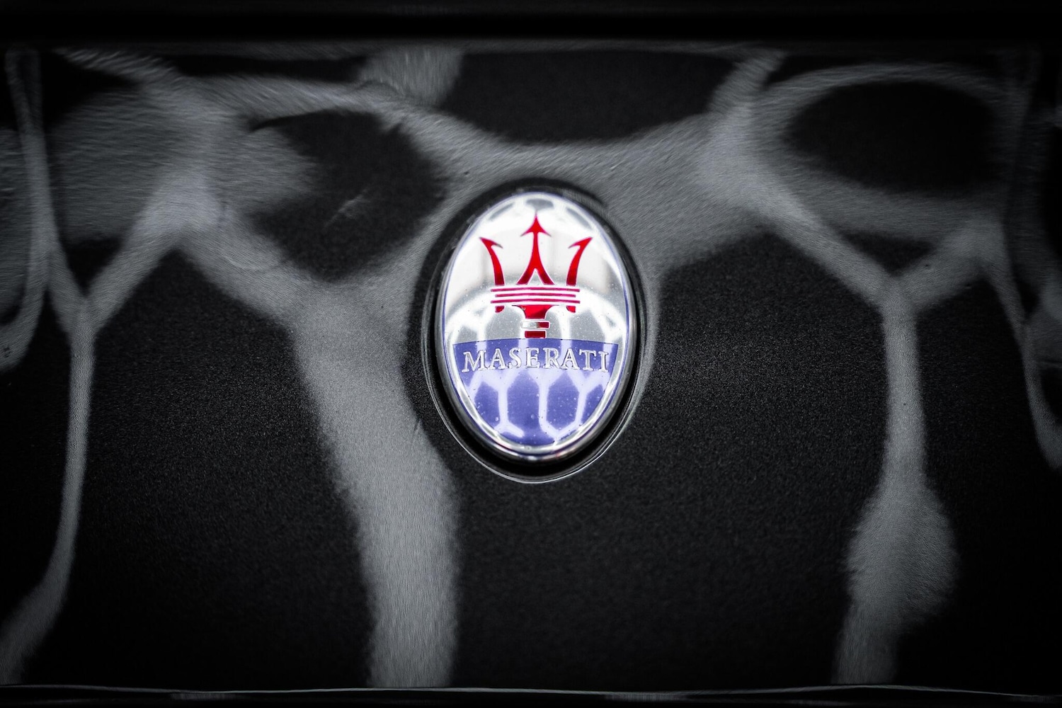 Used Maserati Granturismo 2018 for sale - 77091614: Photo 31