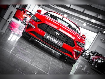 Used Ford Mustang 2019 for sale - 79401309: Photo
