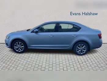 Used Skoda Octavia 2019 for sale - 78173777: Photo