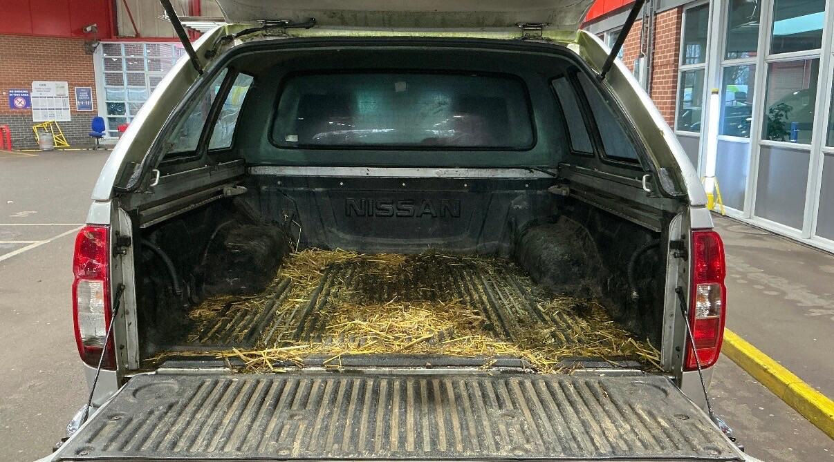 Used Nissan Navara 2014 for sale - 77279825: Photo 7