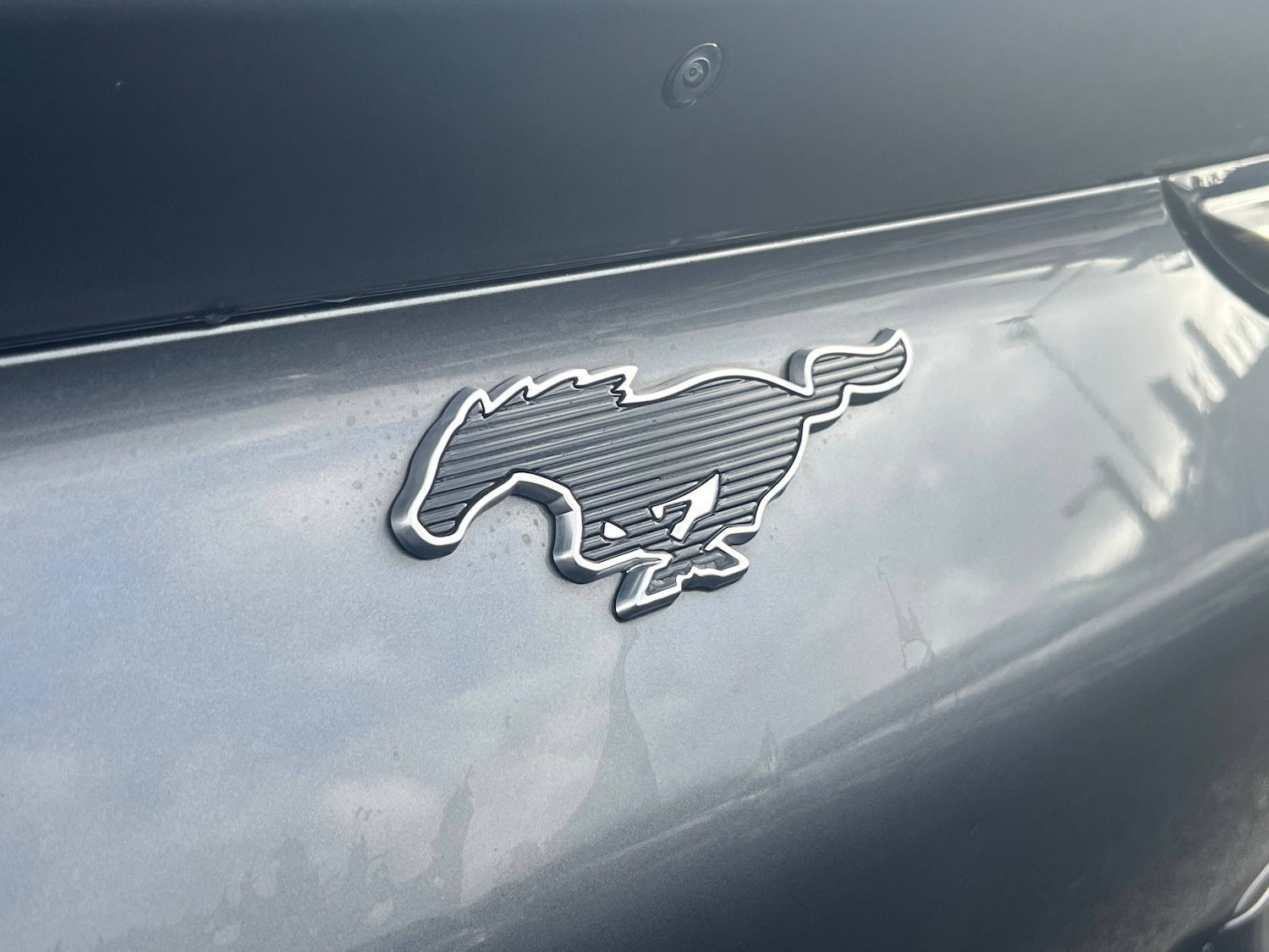 Used Ford Mustang Mach-E 2024 for sale - 78001591: Photo 20