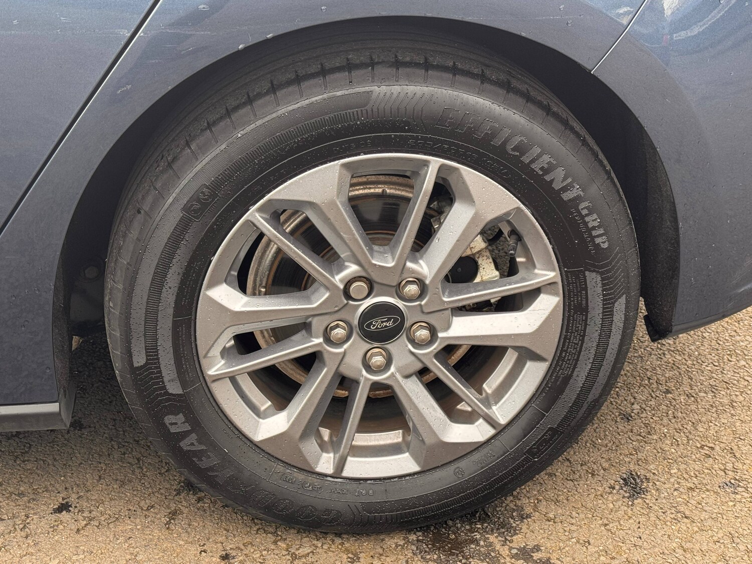 Used Ford Focus for sale - 77902747: Photo 13