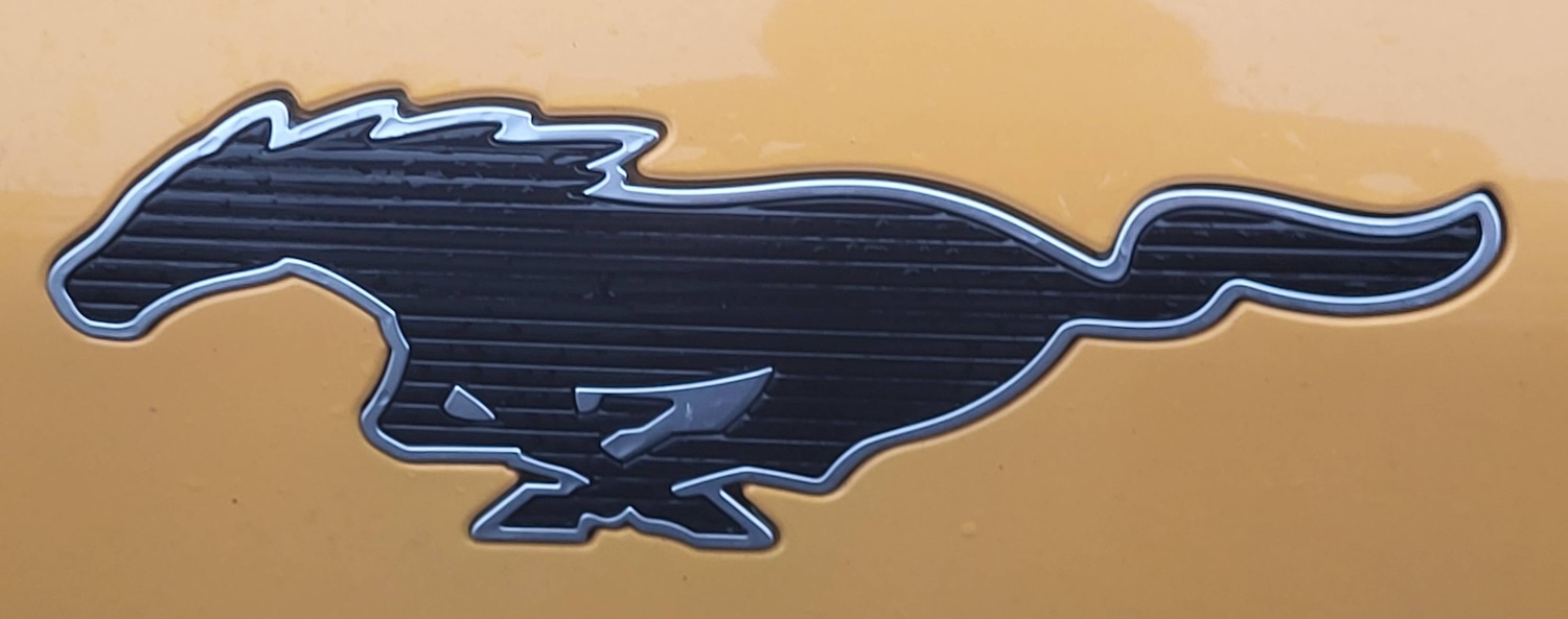 Used Ford Mustang Mach-E 2025 for sale - 77284069: Photo 10