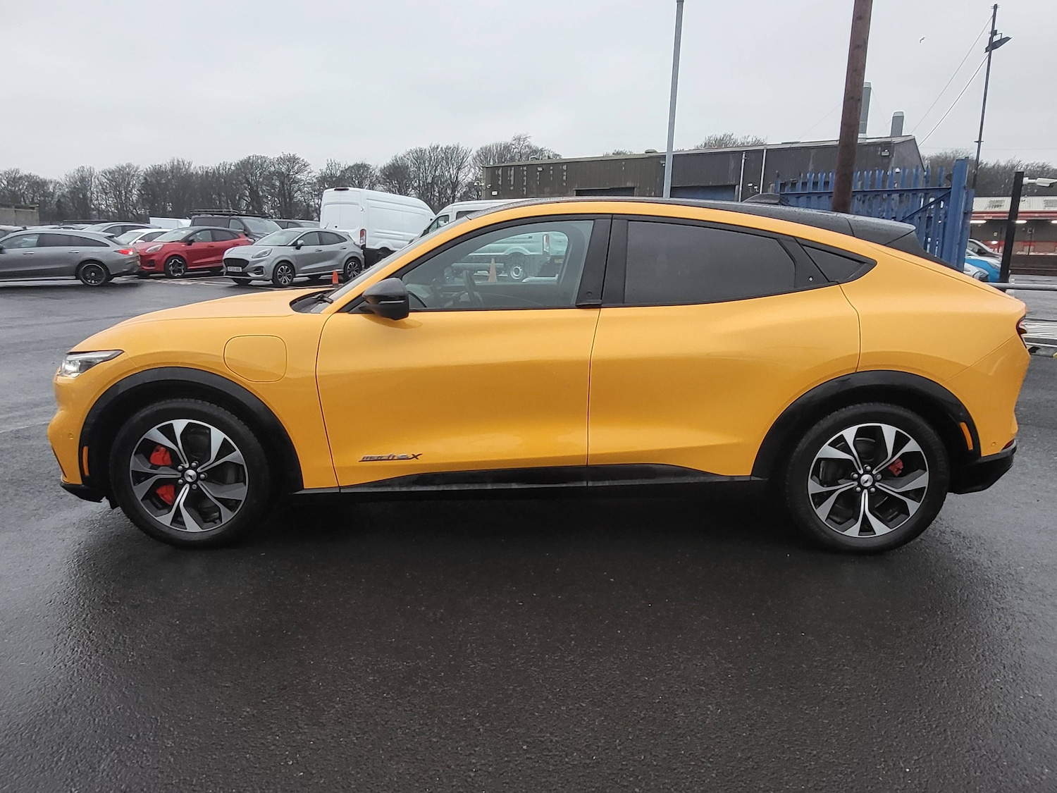 Used Ford Mustang Mach-E 2025 for sale - 77284069: Photo 7