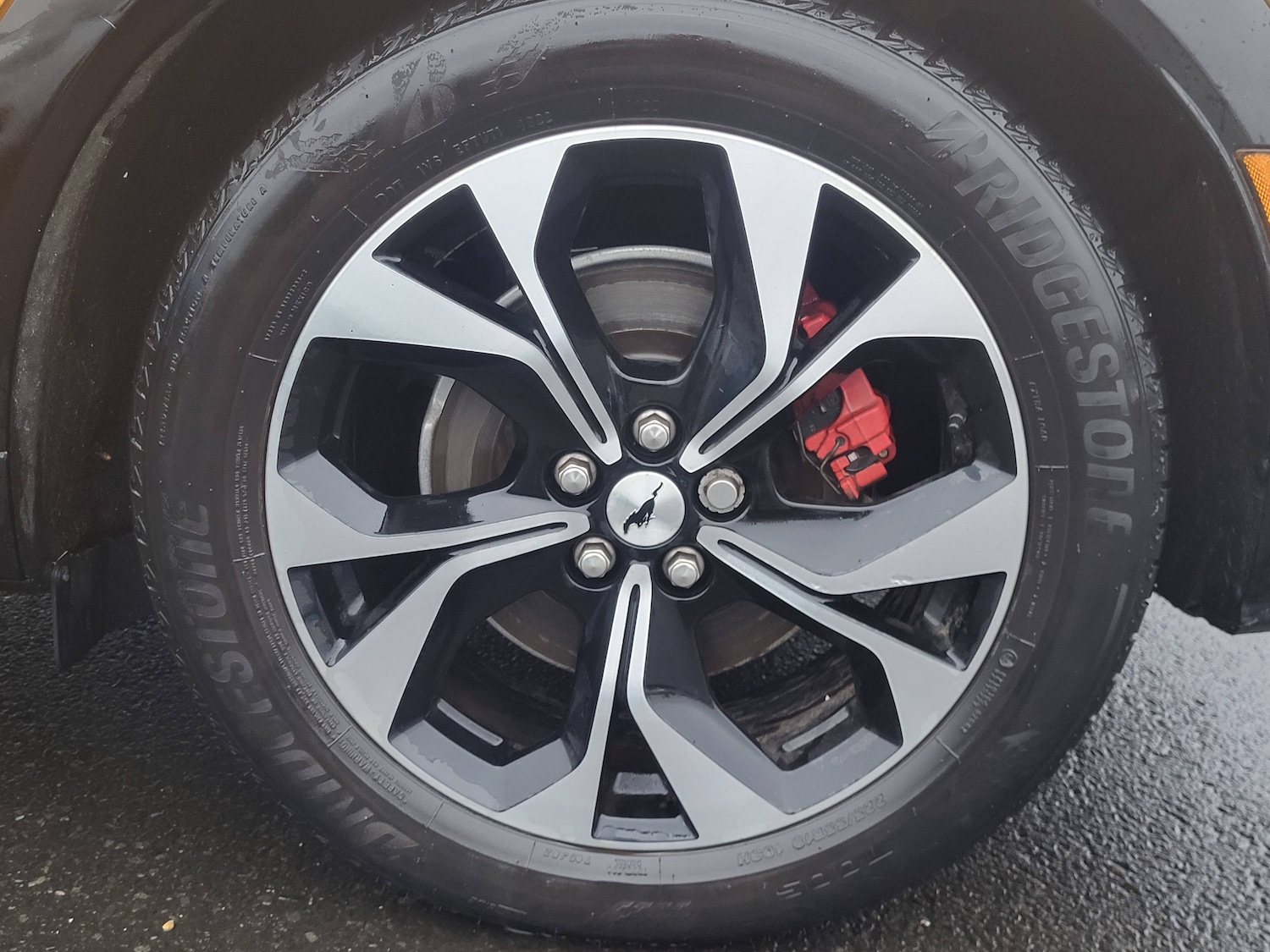 Used Ford Mustang Mach-E 2025 for sale - 77284069: Photo 8