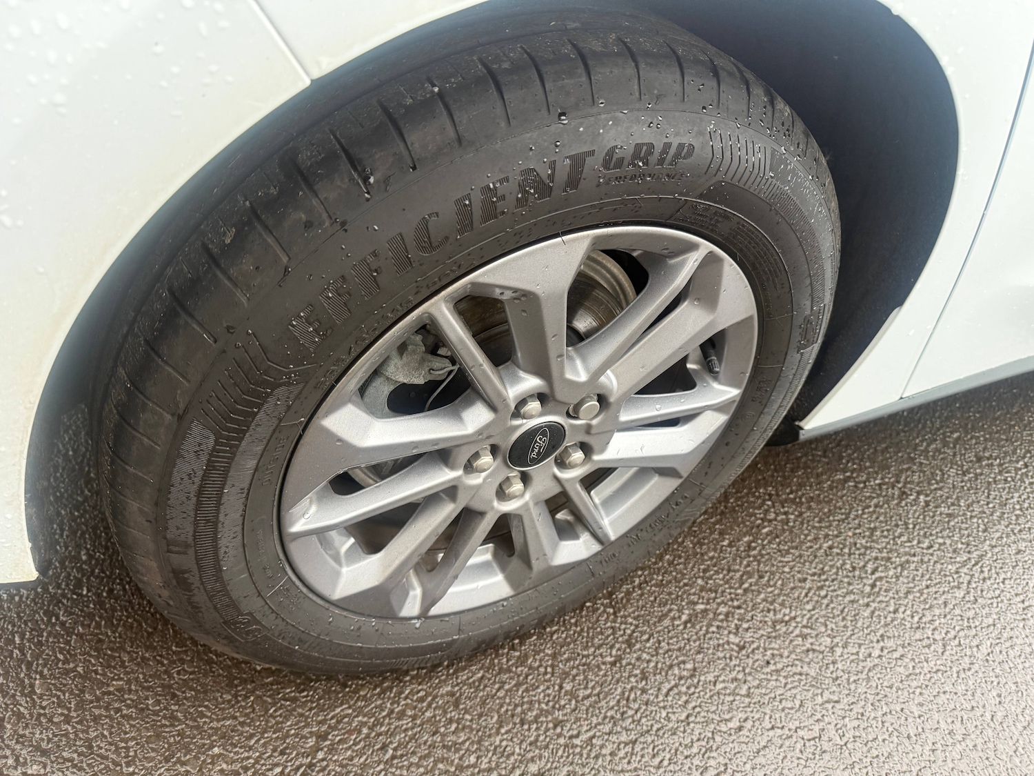 Used Ford Focus 2025 for sale - 77275152: Photo 24