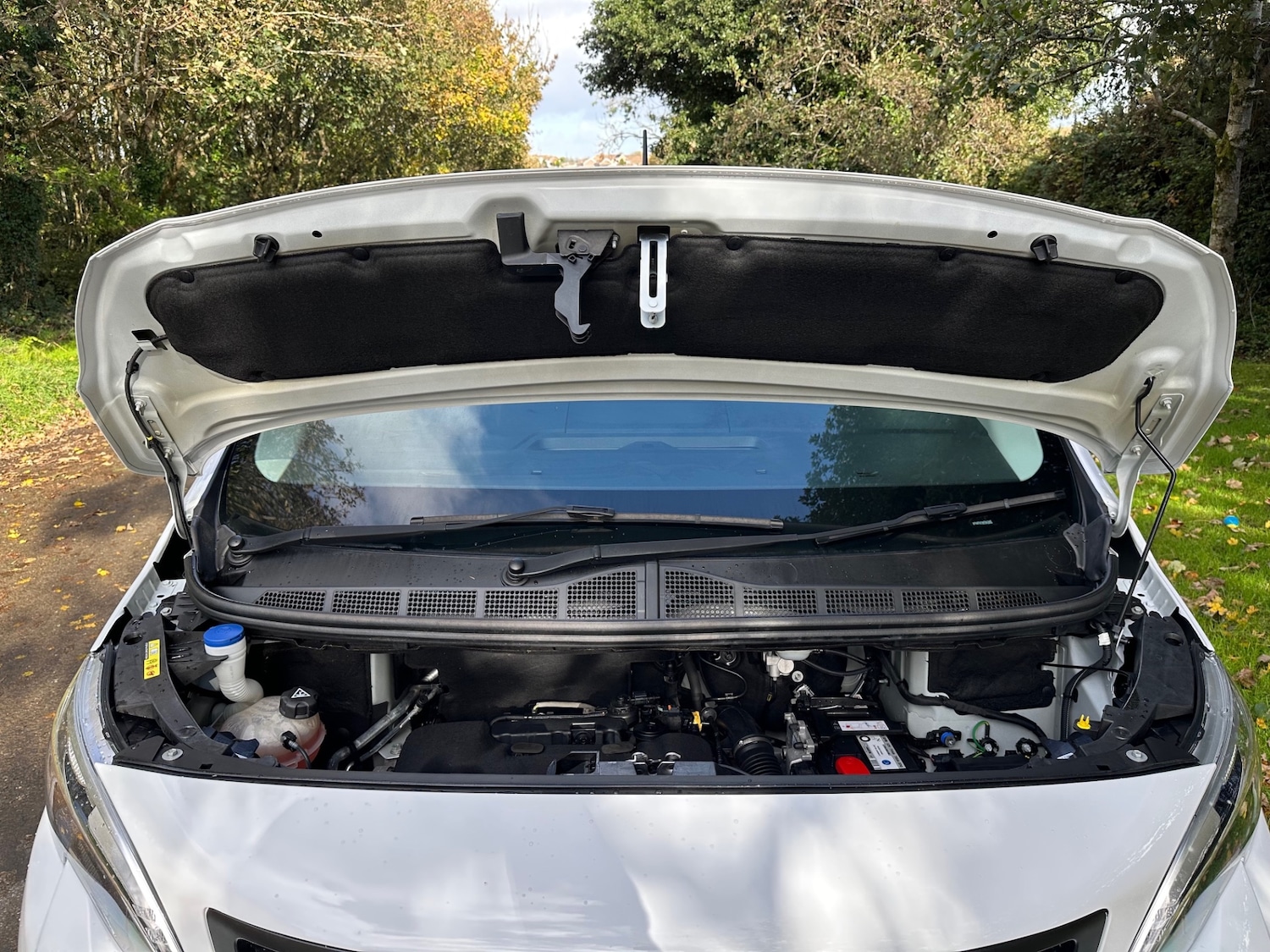 Used Peugeot Expert 2022 for sale - 76364992: Photo 16