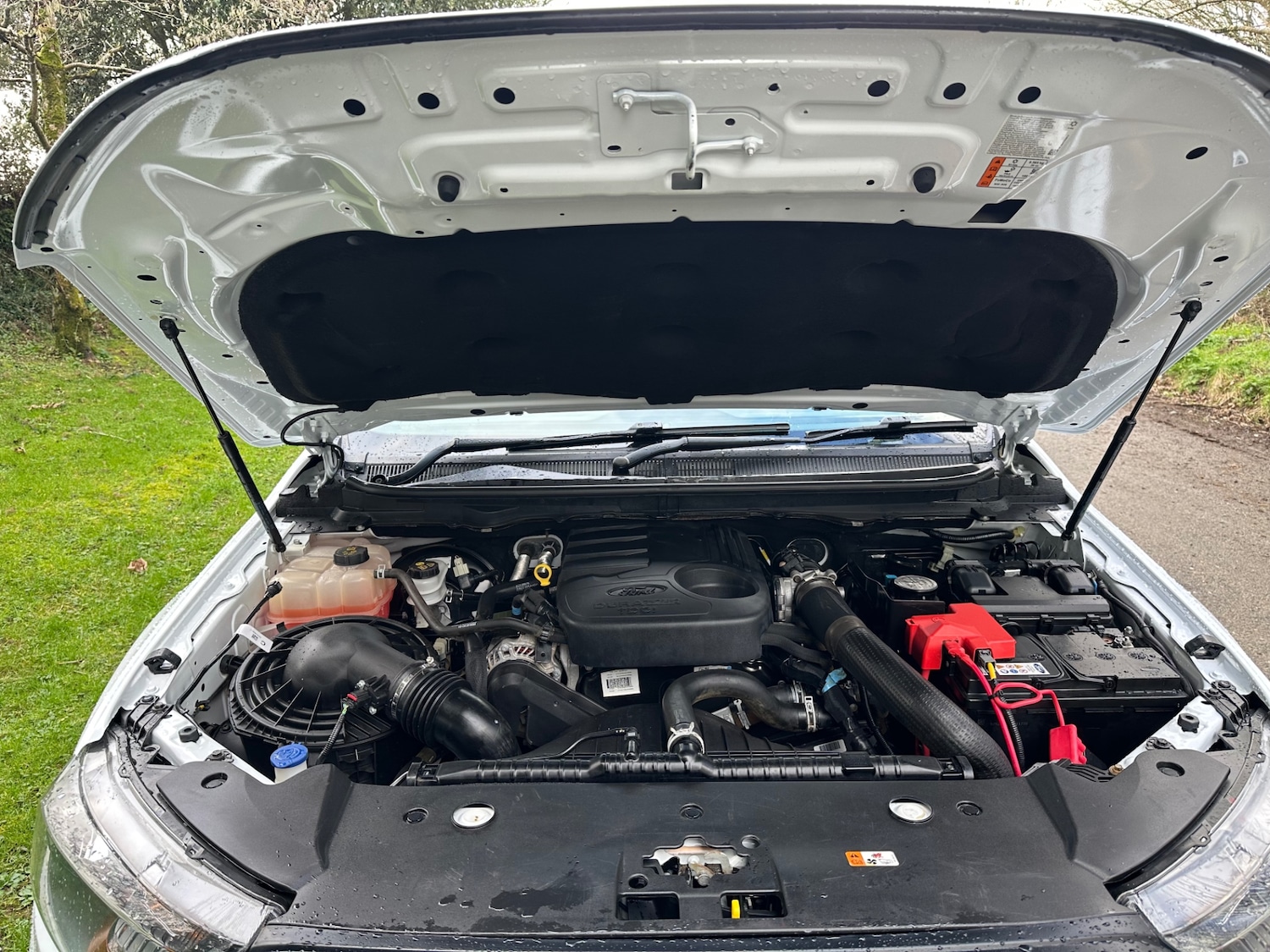 Used Ford Ranger 2018 for sale - 77435273: Photo 14