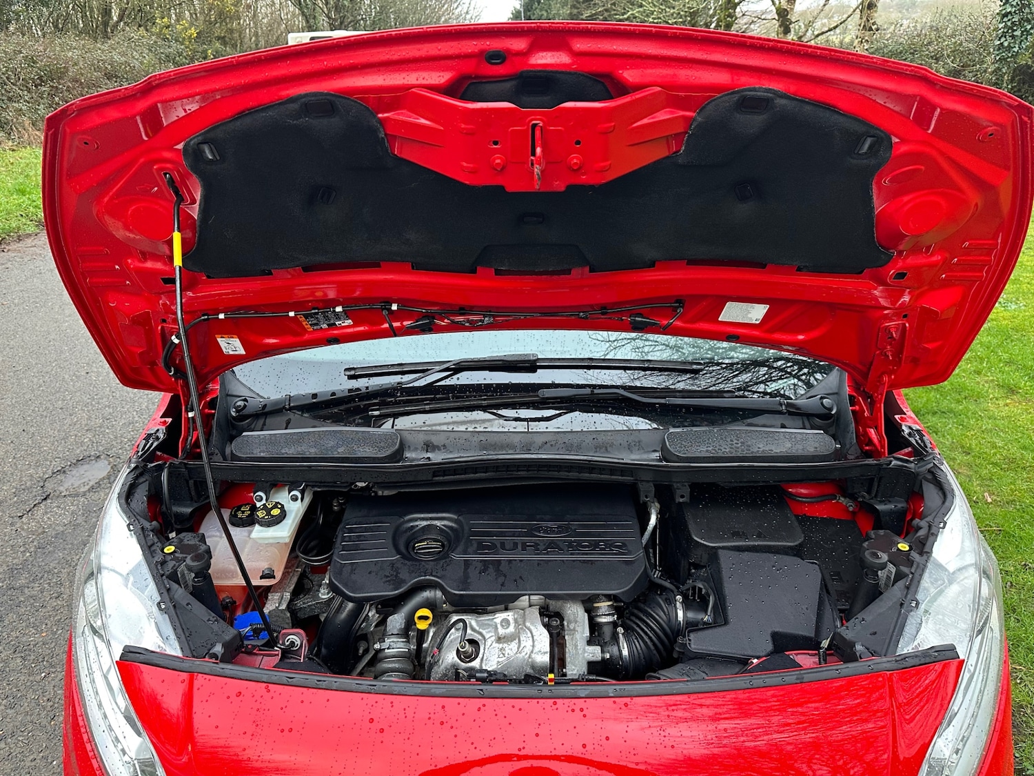 Used Ford Transit Connect 2017 for sale - 77493257: Photo 17