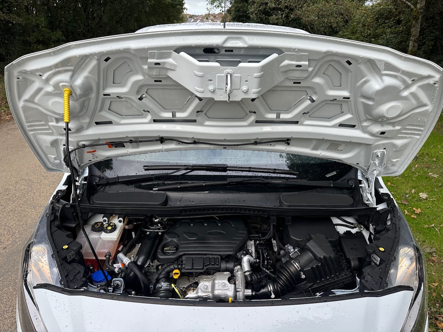 Used Ford Transit Connect 2020 for sale - 76196183: Photo 13