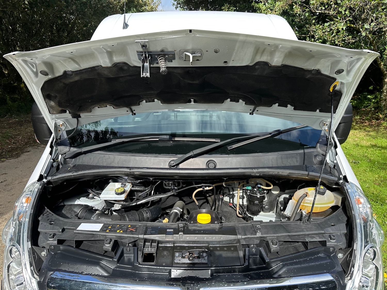 Vehicle 19