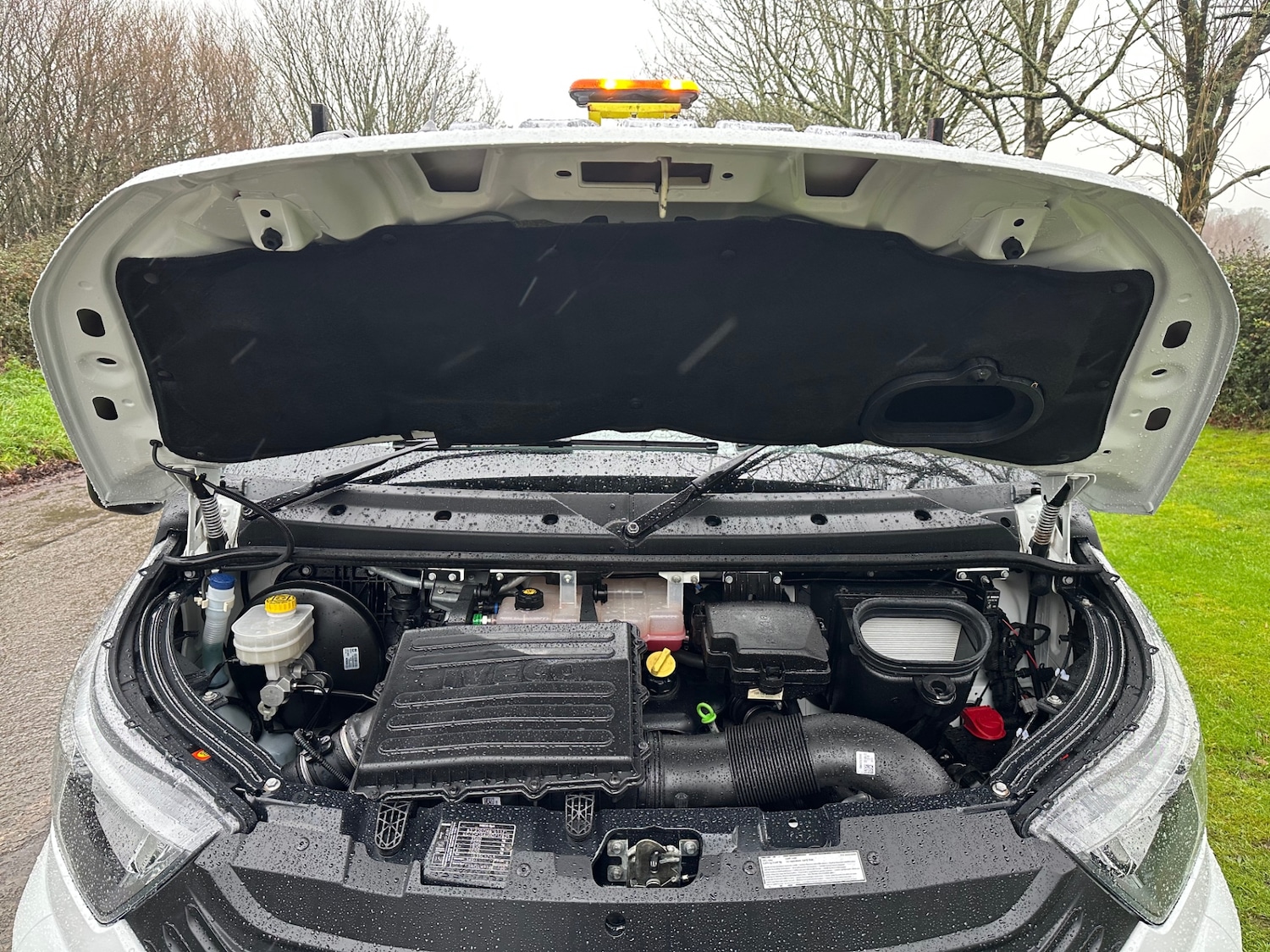 Used Iveco Daily 2022 for sale - 76831269: Photo 11