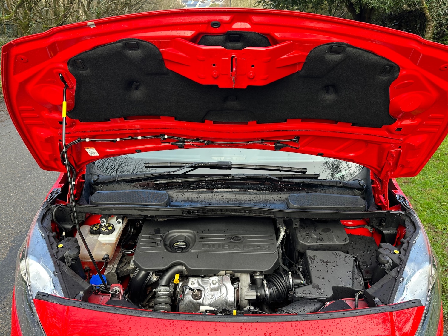 Used Ford Transit Connect 2017 for sale - 77221370: Photo 18