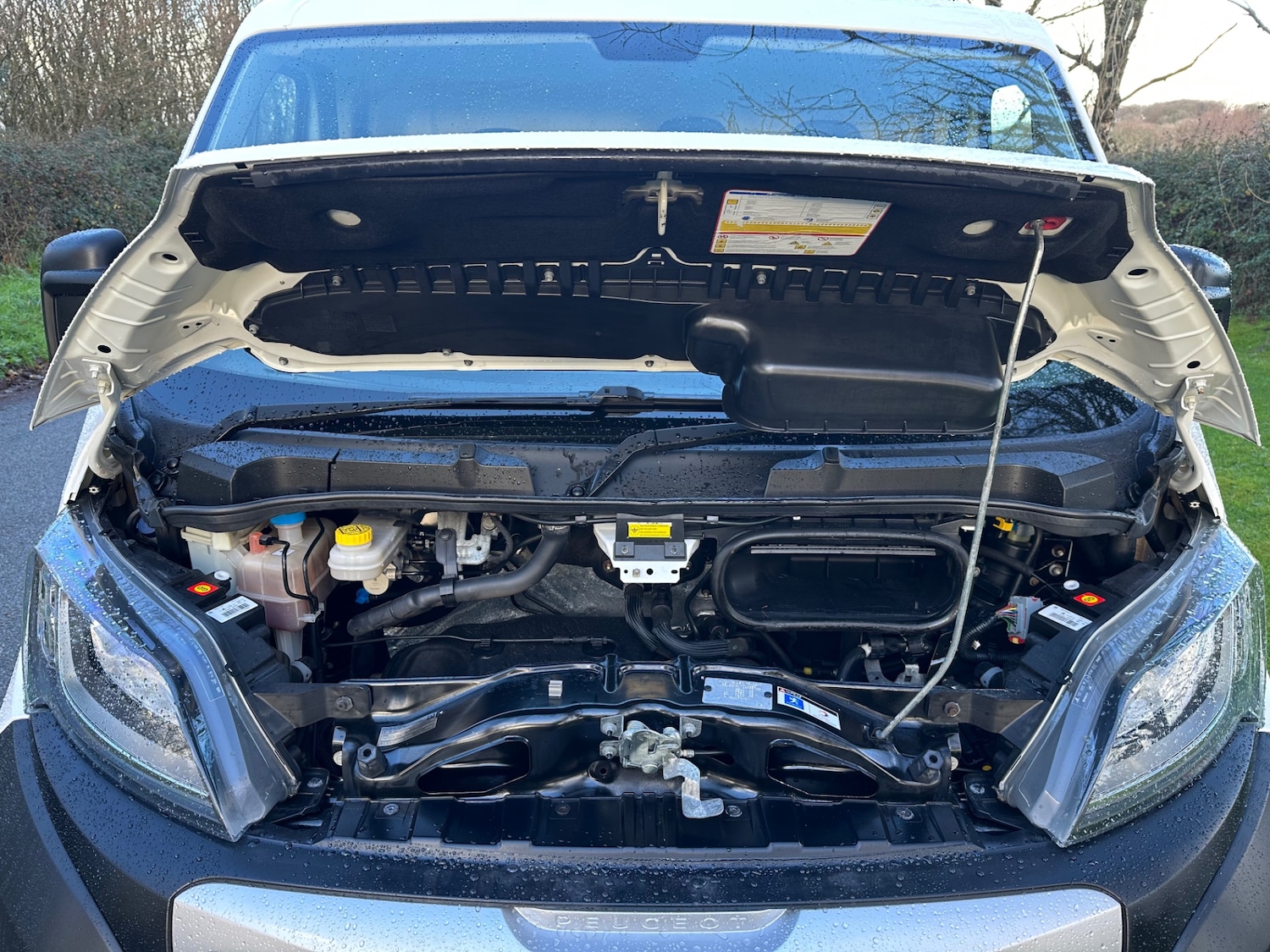 Used Peugeot Boxer 2019 for sale - 76818677: Photo 11