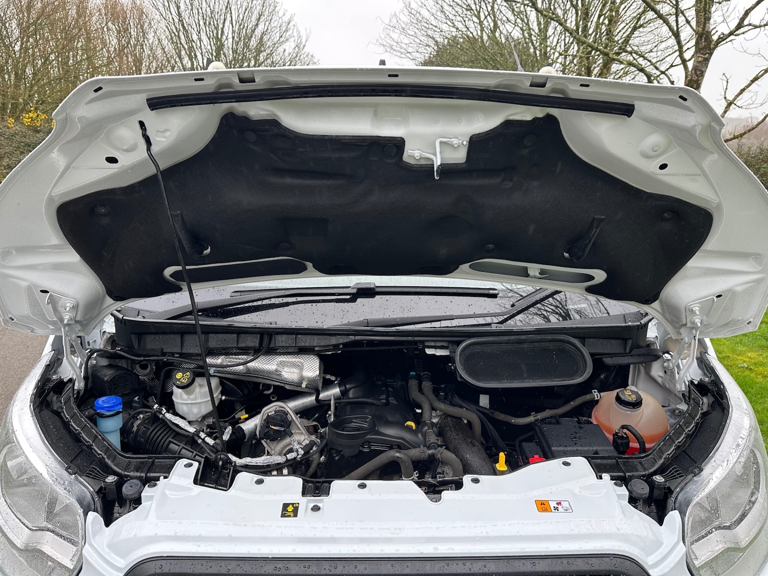 Used Ford Transit 2020 for sale - 77579025: Photo 14