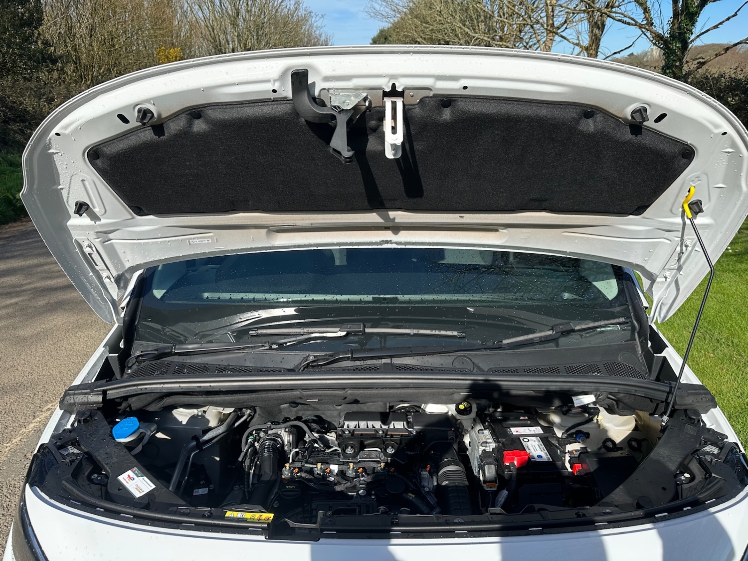 Used Peugeot Partner 2024 for sale - 77933866: Photo 21