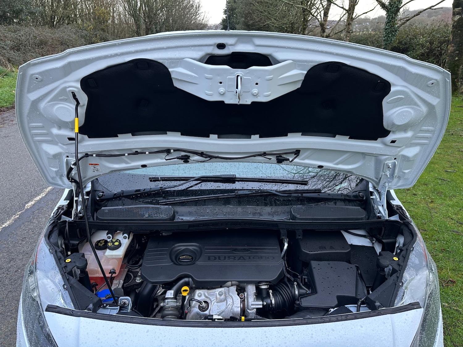 Used Ford Transit Connect 2017 for sale - 77272436: Photo 14