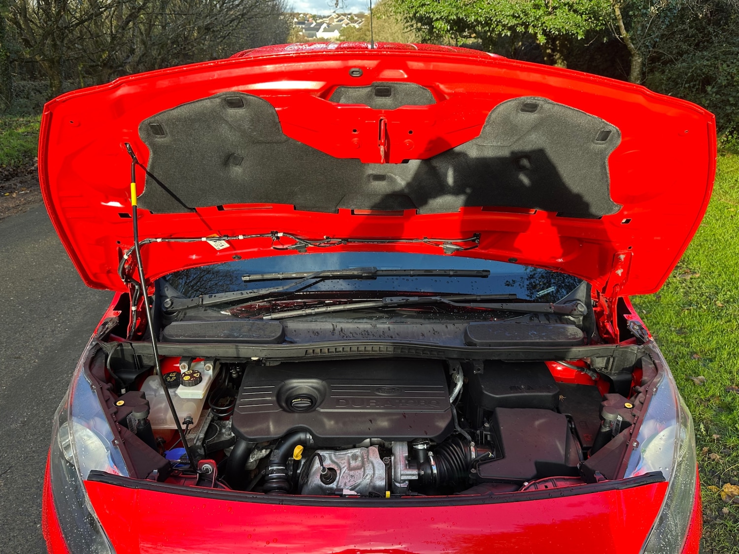 Used Ford Transit Connect 2016 for sale - 76649995: Photo 17