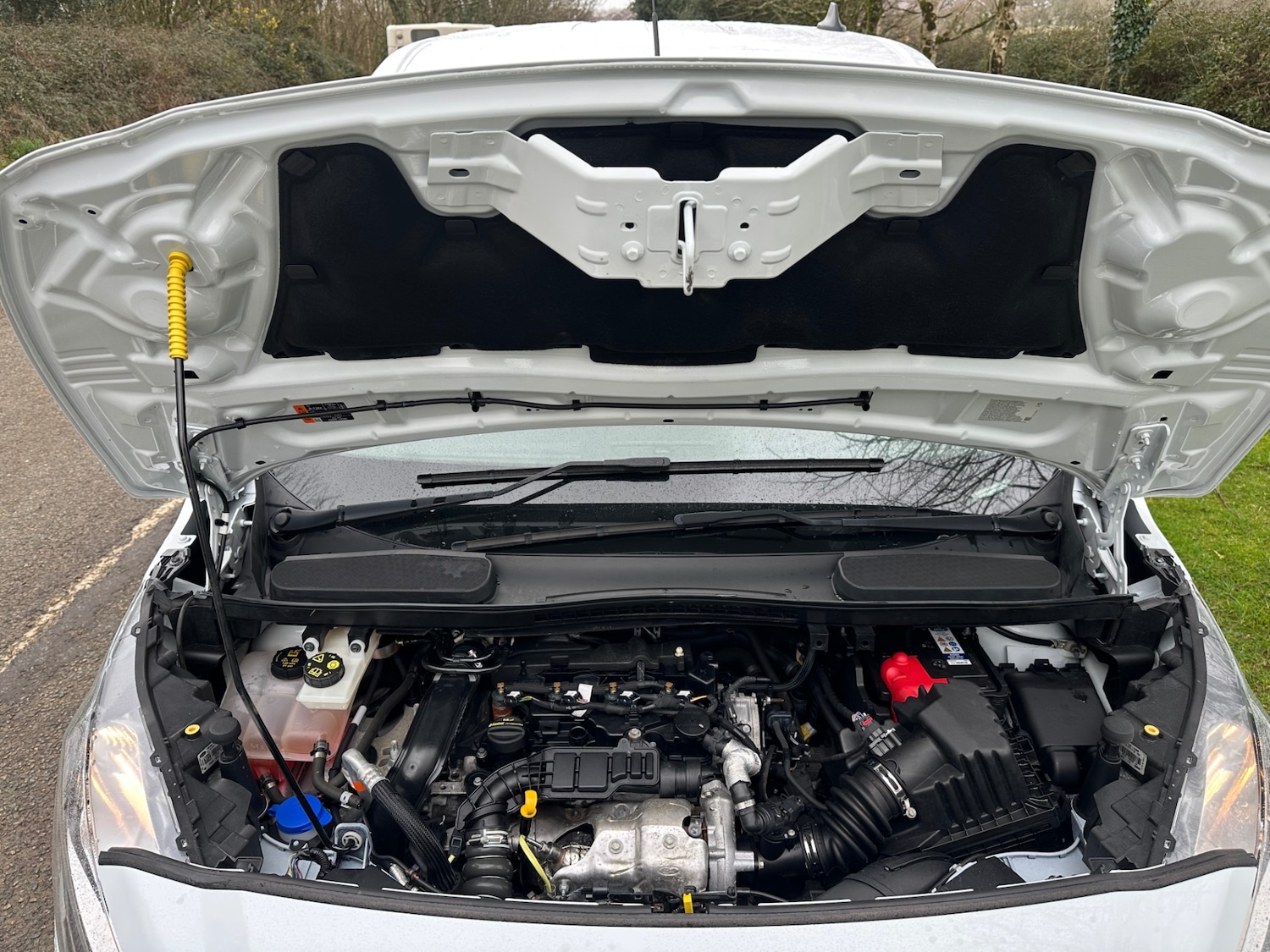 Used Ford Transit Connect 2022 for sale - 77519468: Photo 17