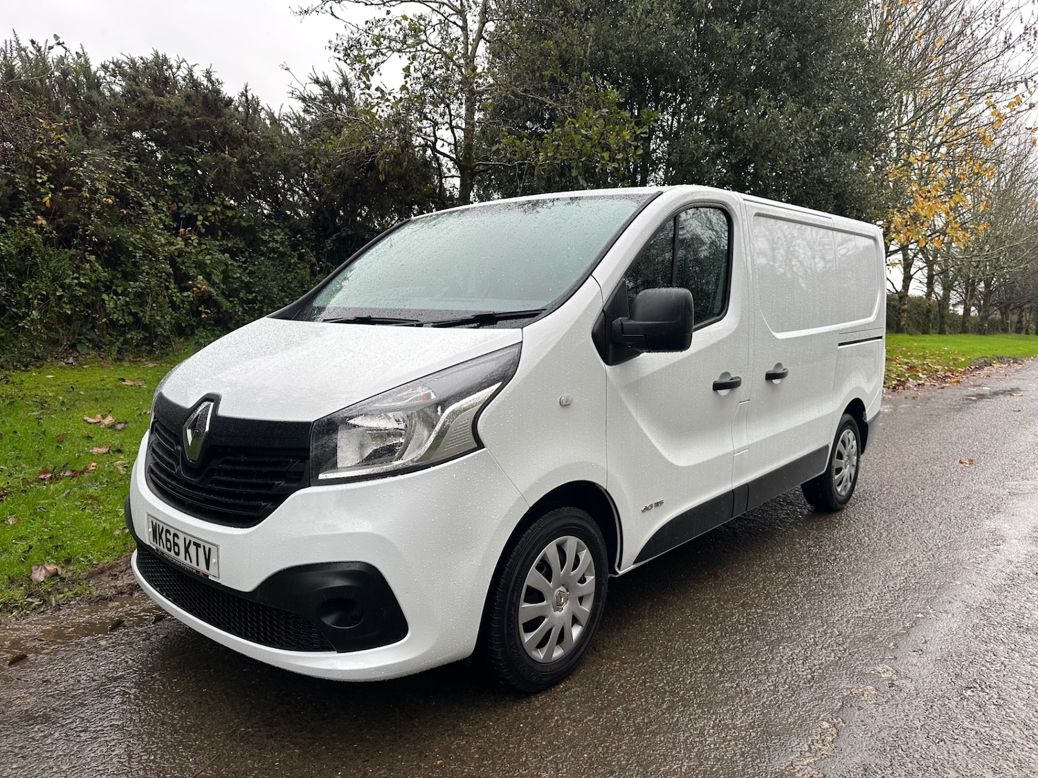 Used Renault Trafic 2016 for sale - 76578453: Photo 1