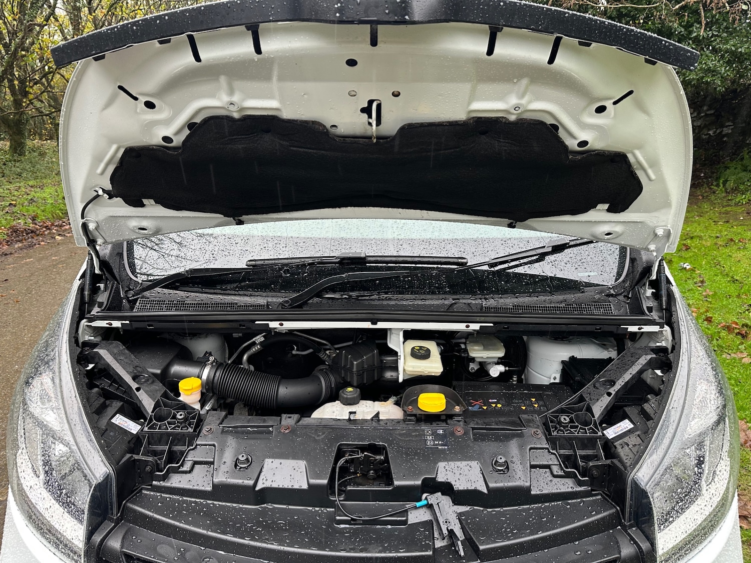 Used Renault Trafic 2016 for sale - 76578453: Photo 13