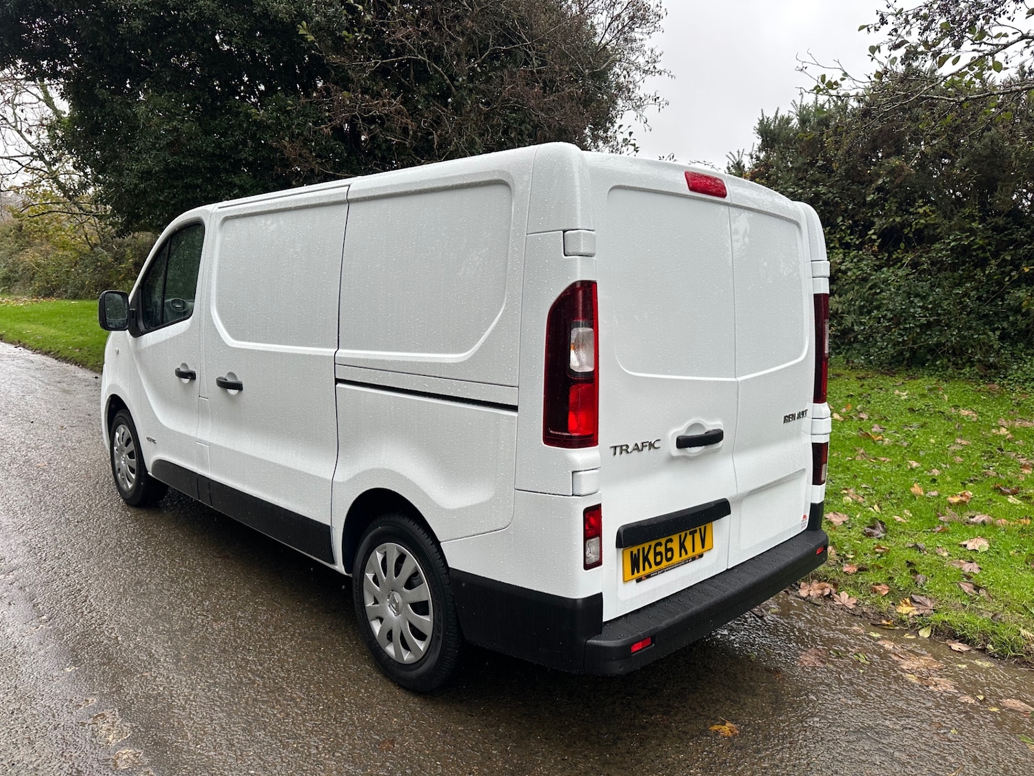 Used Renault Trafic 2016 for sale - 76578453: Photo 2