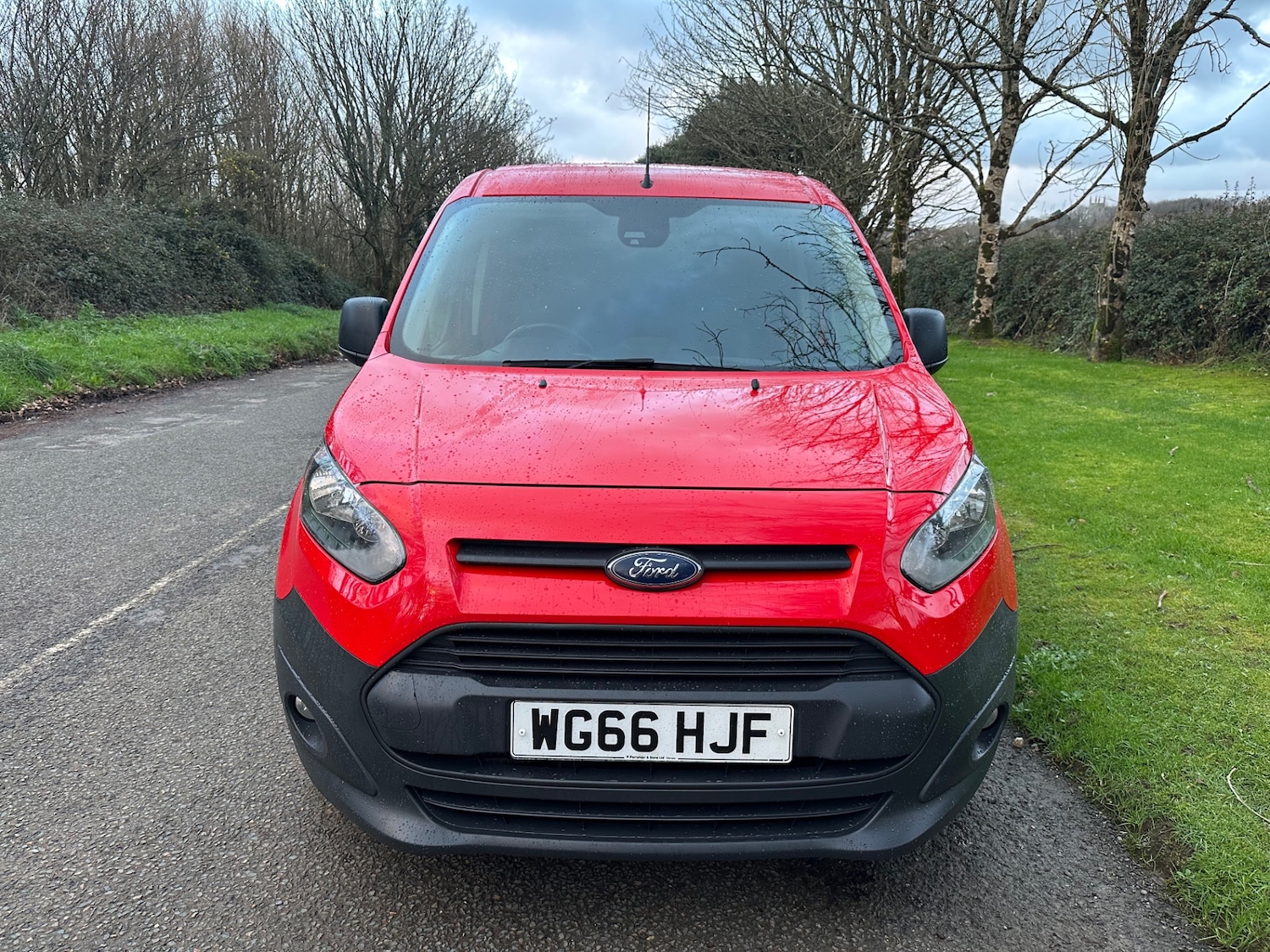 Used Ford Transit Connect 2016 for sale - 77025711: Photo 5