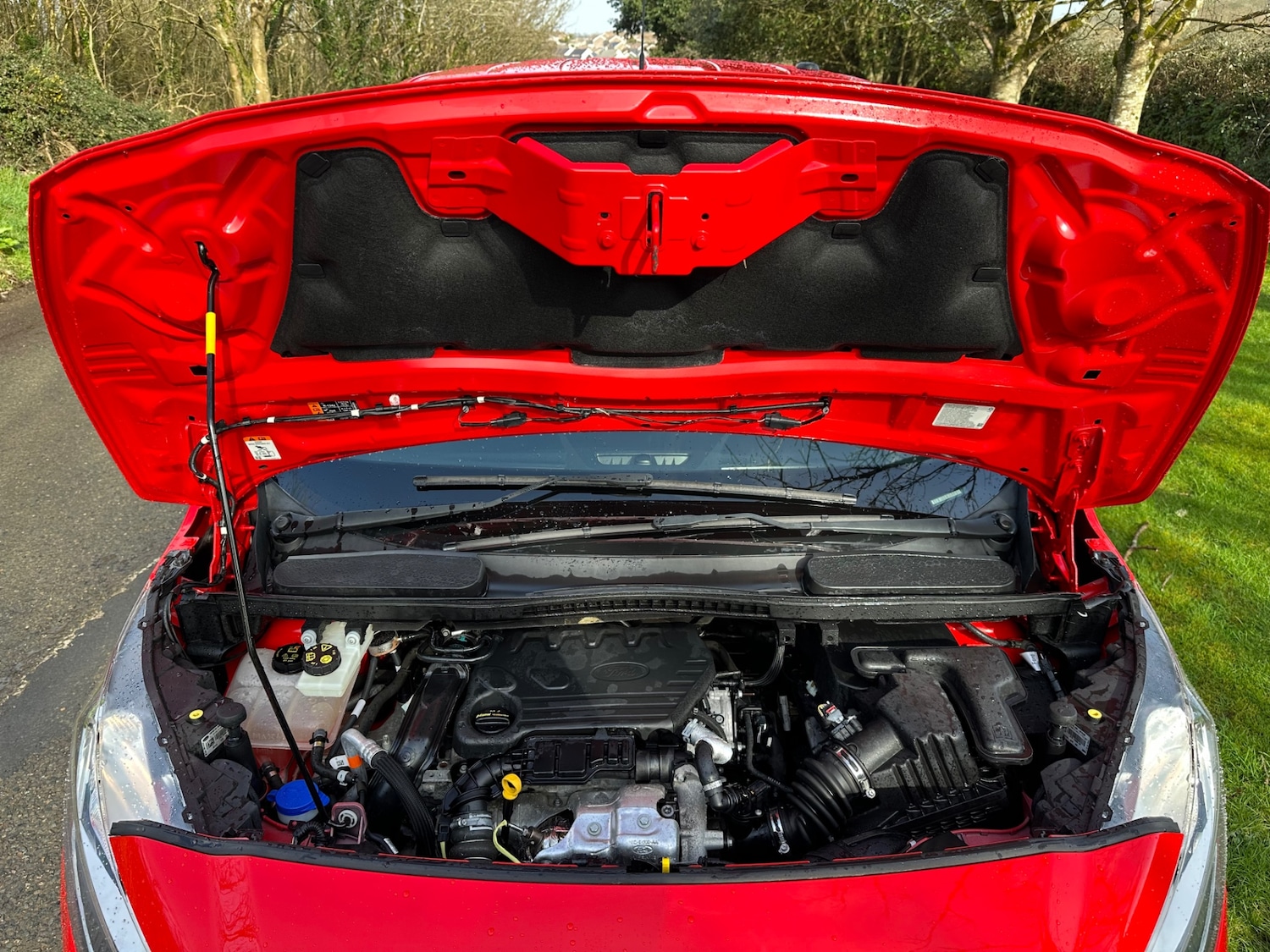 Used Ford Transit Connect 2019 for sale - 77570748: Photo 10