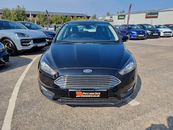 Used Ford Focus 2016 for sale - 79104800: Photo
