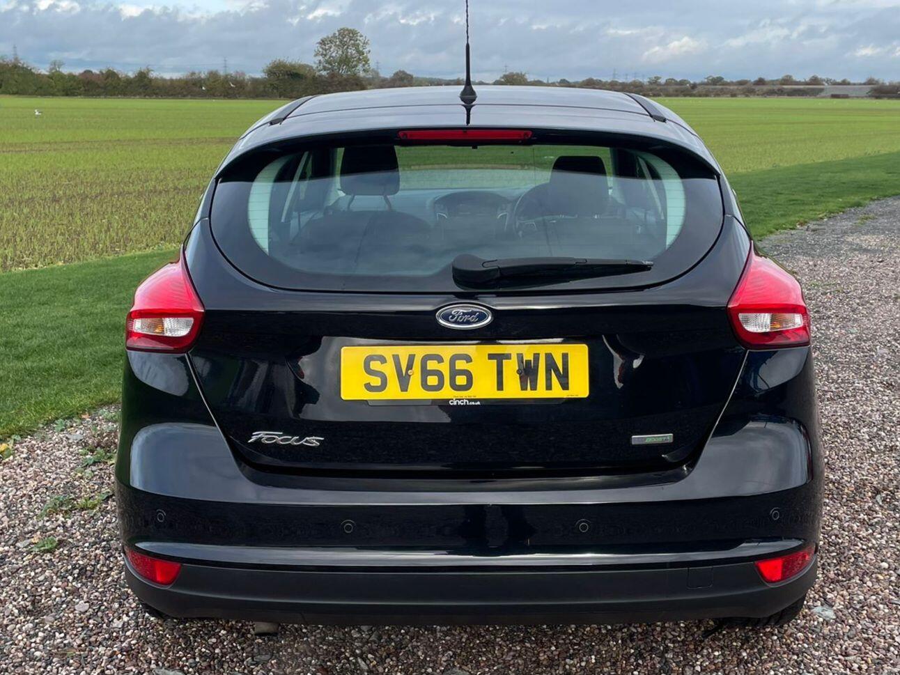 Used Ford Focus for sale - 77268165: Photo 7