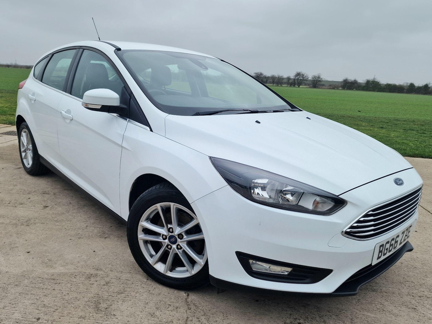 Used Ford Focus 2016 for sale - 77331506: Photo 5