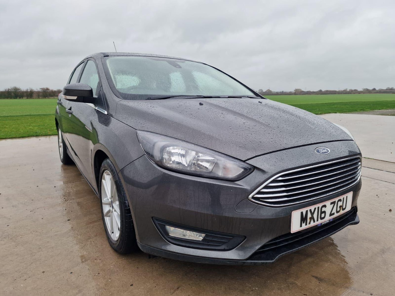 Used Ford Focus 2016 for sale - 76824651: Photo 6