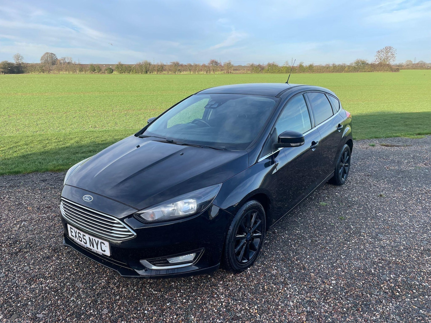 Used Ford Focus for sale - 77267359: Photo 9