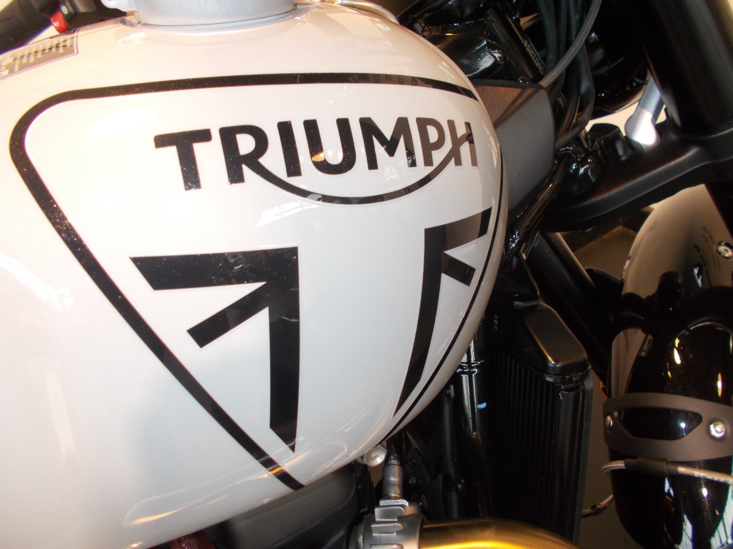Triumph SCRAMBLER 1200 X