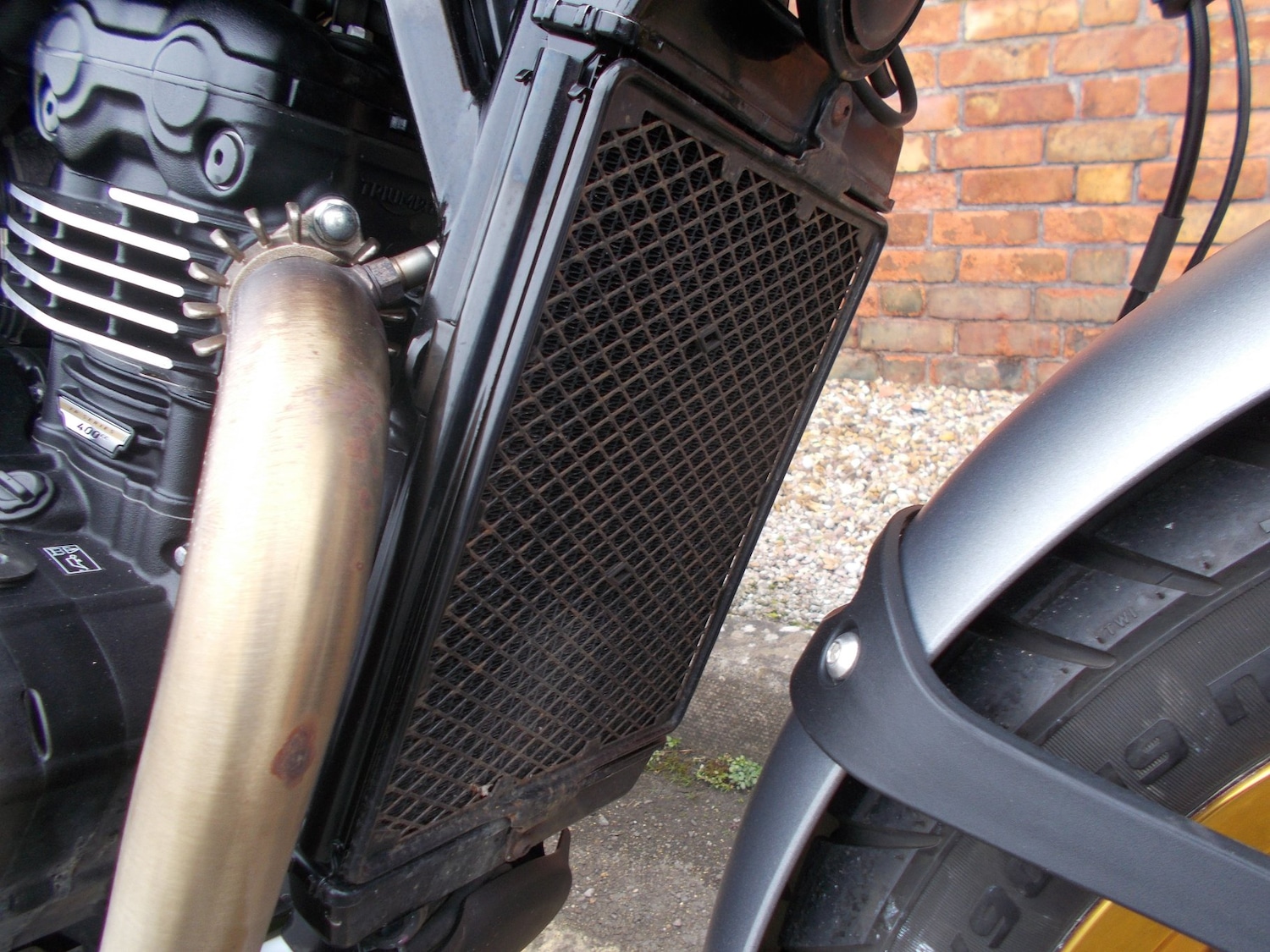 Triumph SCRAMBLER 400 X