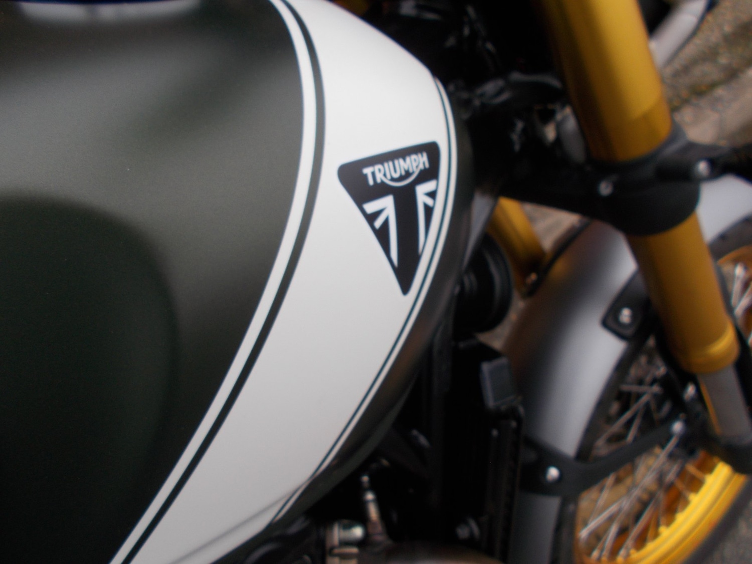 Triumph SCRAMBLER 400 X