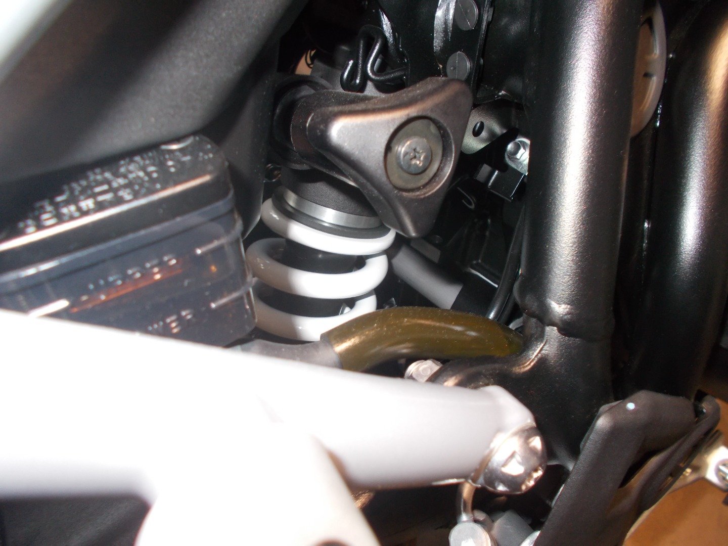 Triumph TIGER 900 RALLY PRO