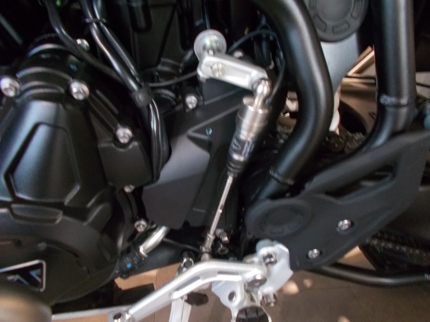 Triumph TIGER 900 RALLY PRO