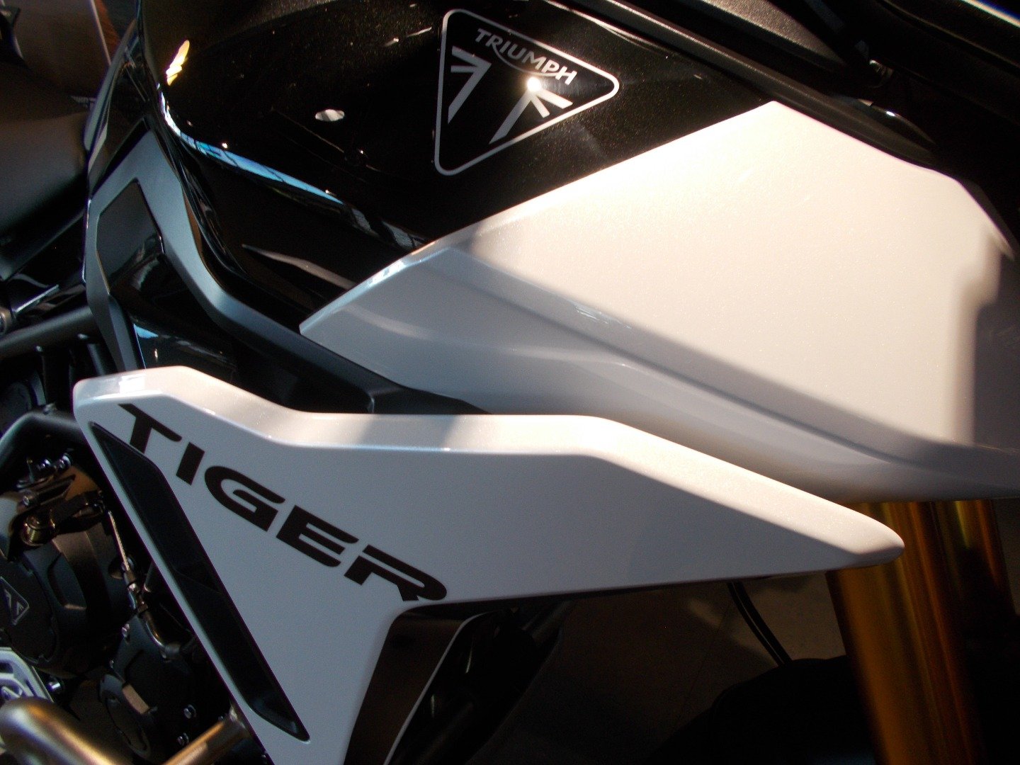 Triumph TIGER 900 RALLY PRO