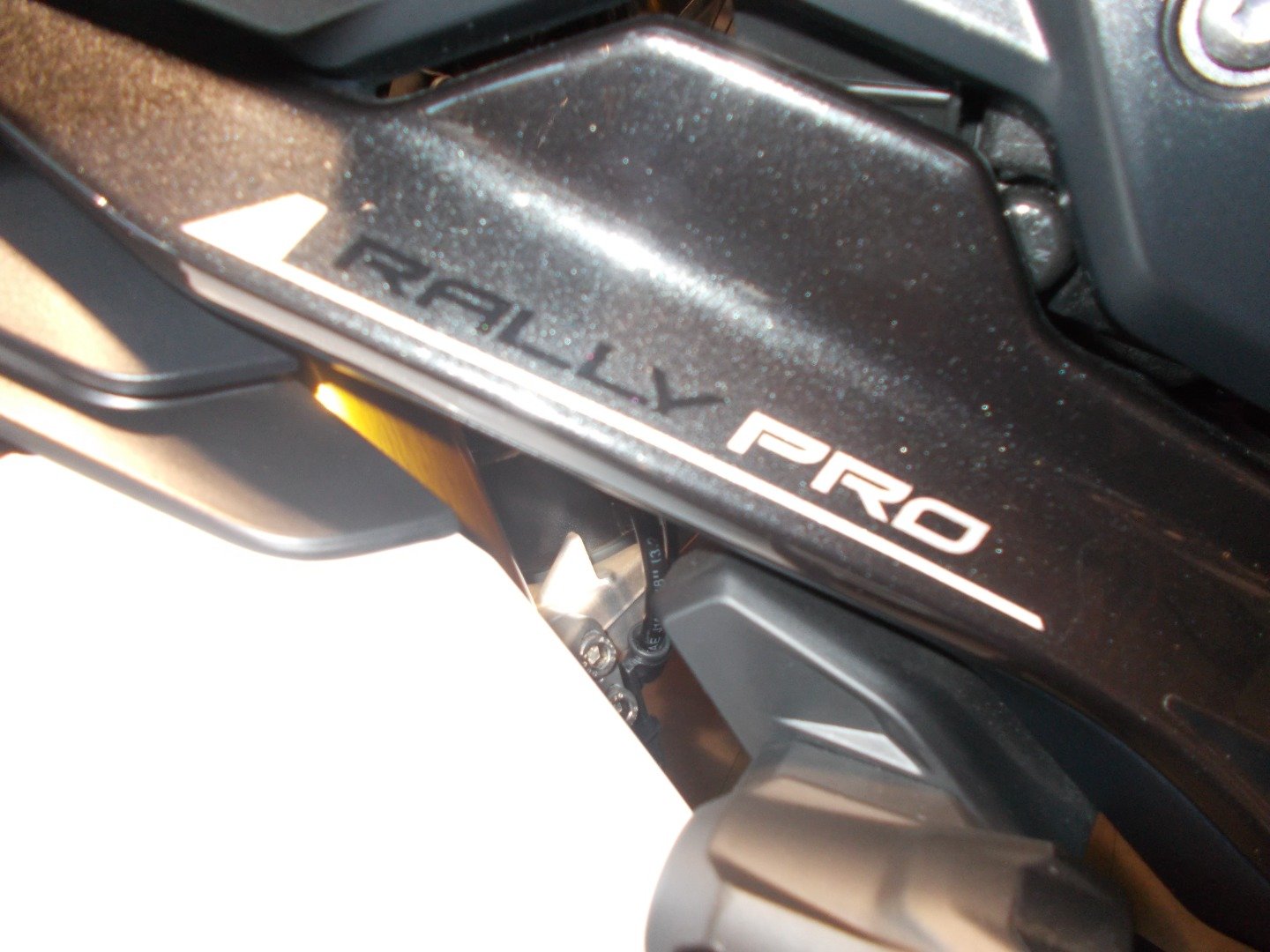 Triumph TIGER 900 RALLY PRO