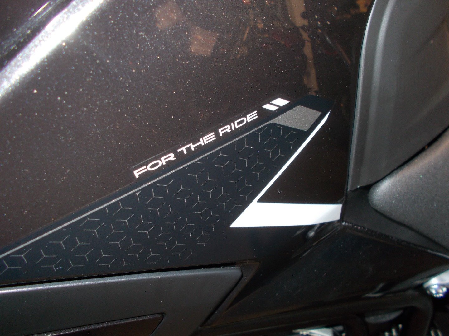 Triumph TIGER 900 RALLY PRO