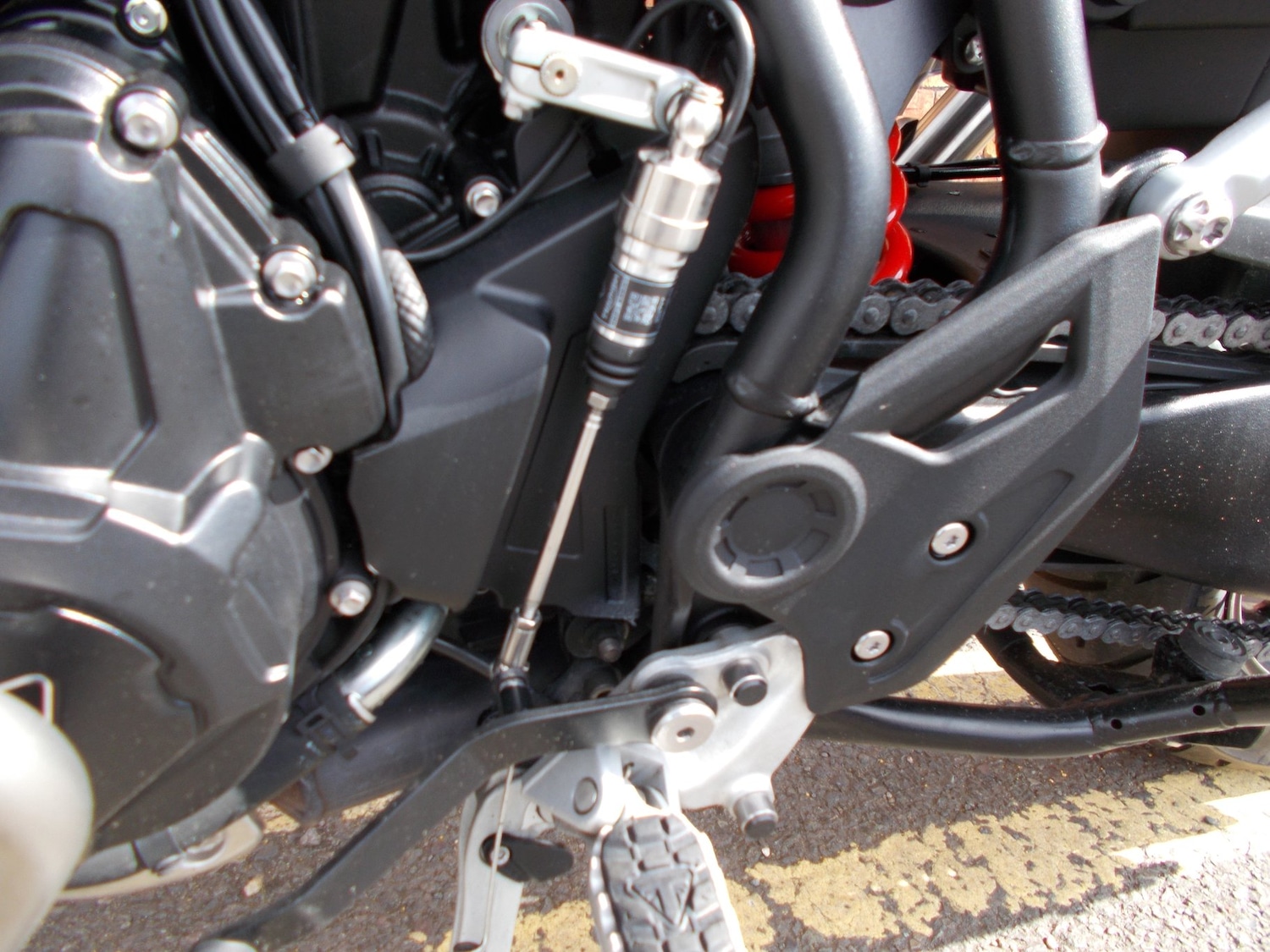 Used Triumph TIGER 900 GT PRO 2024 for sale - 78545556: Photo 18