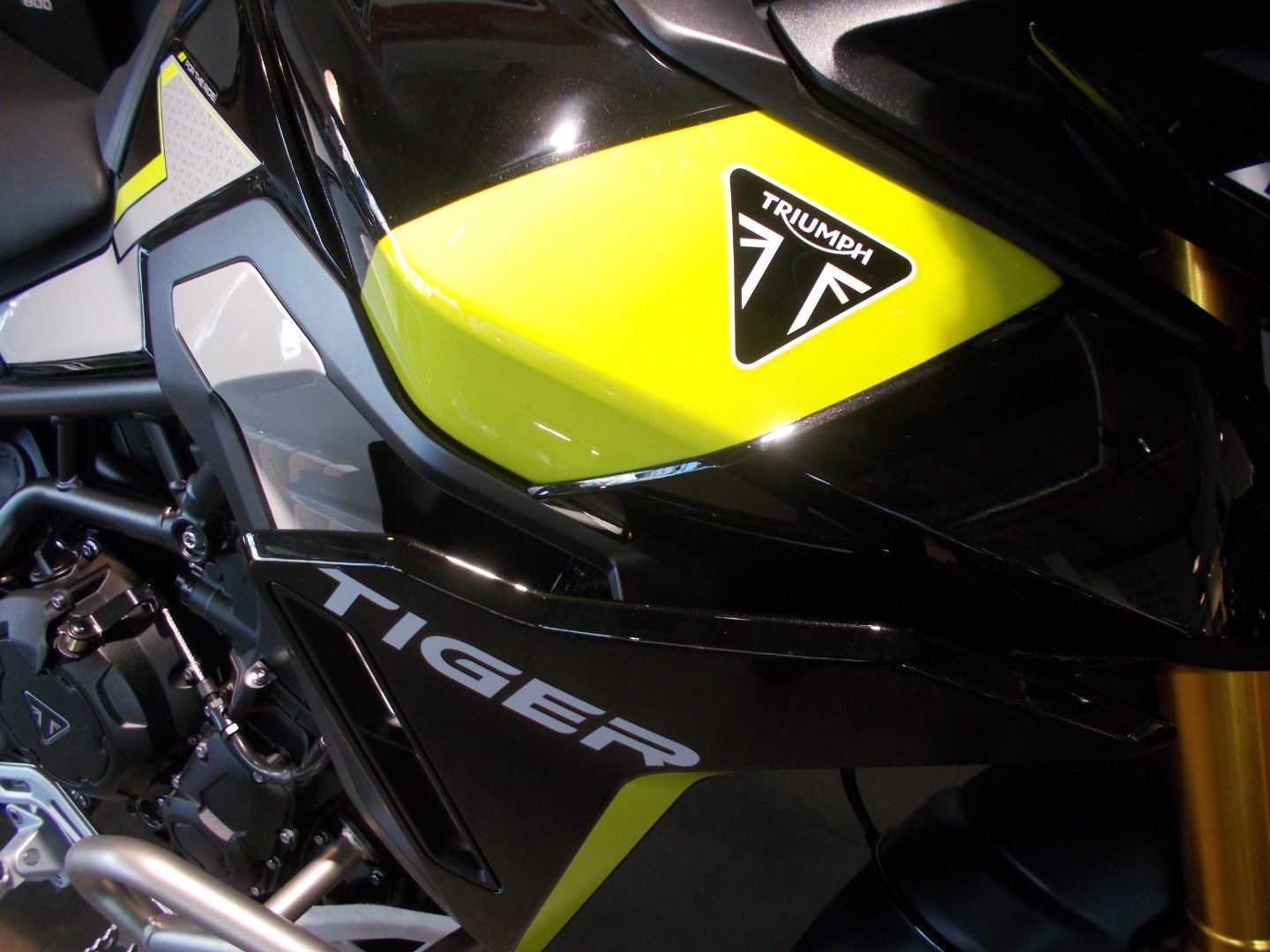 Triumph TIGER 900 RALLY PRO