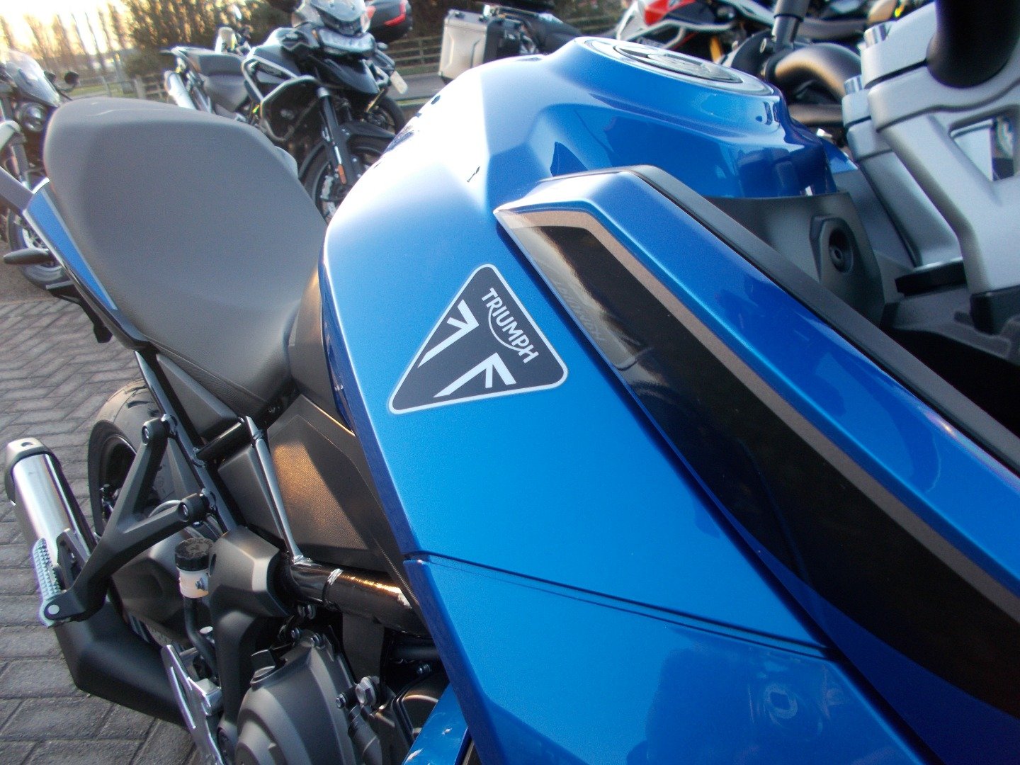 Triumph TIGER SPORT 800