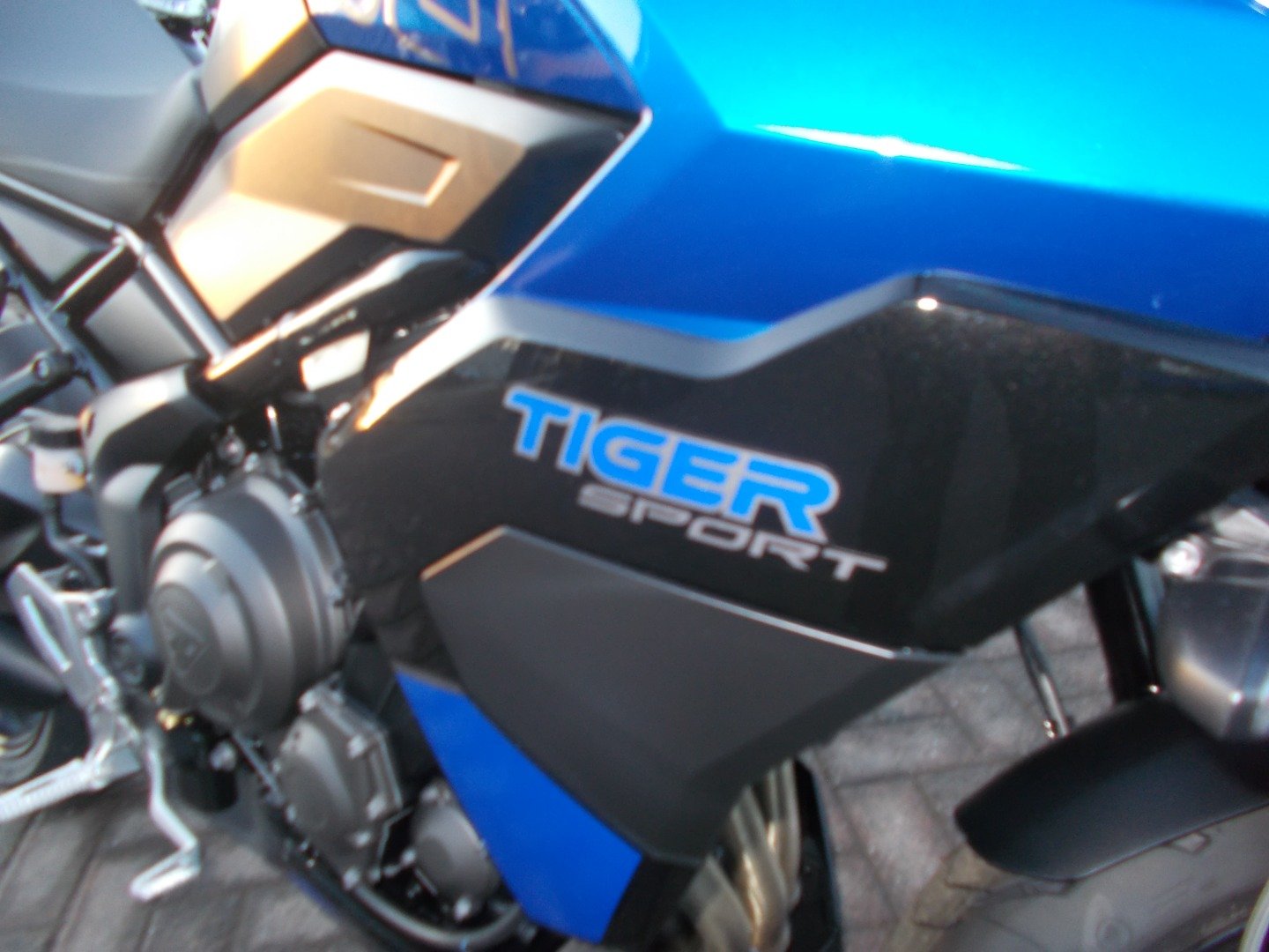 Triumph TIGER SPORT 800