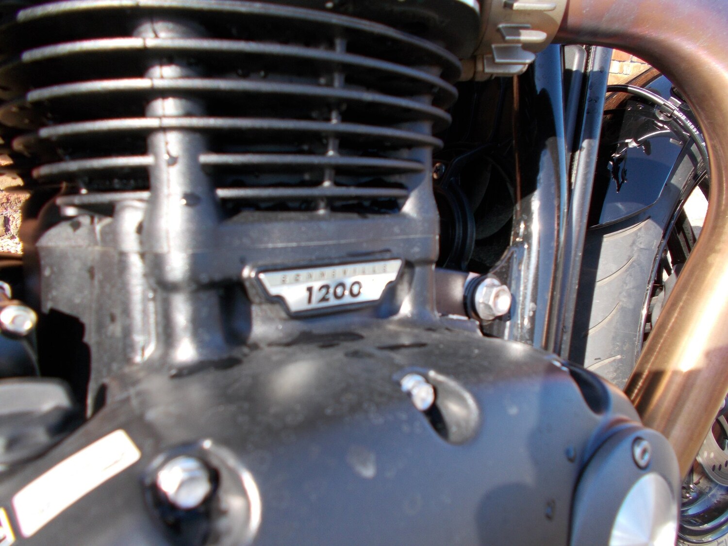 Used Triumph SPEED TWIN 1200 2025 for sale - 78373774: Photo 8
