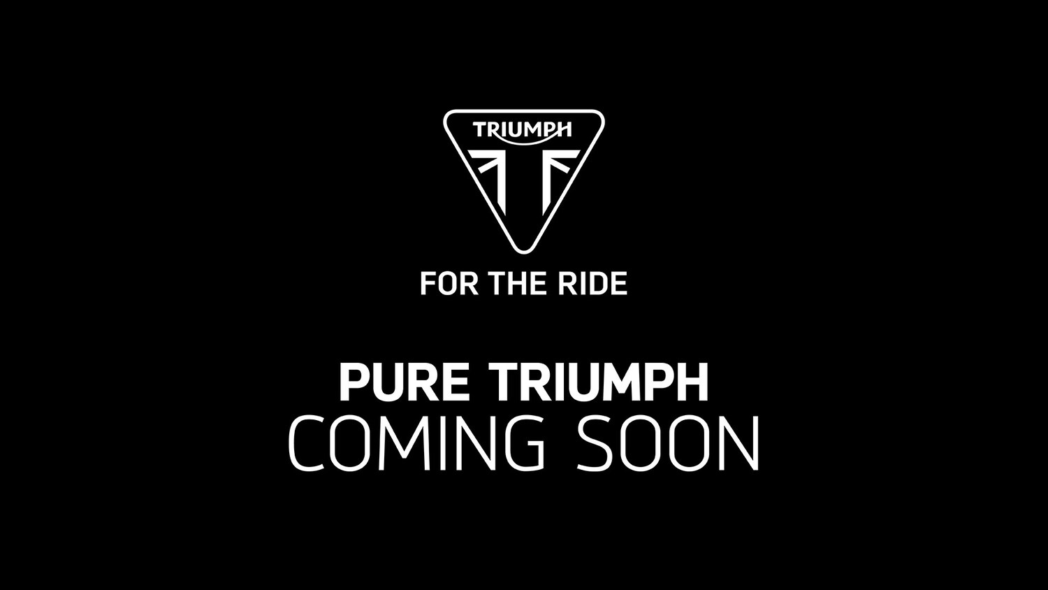 Used Triumph SPEED 400 for sale - 78673870: Photo 17