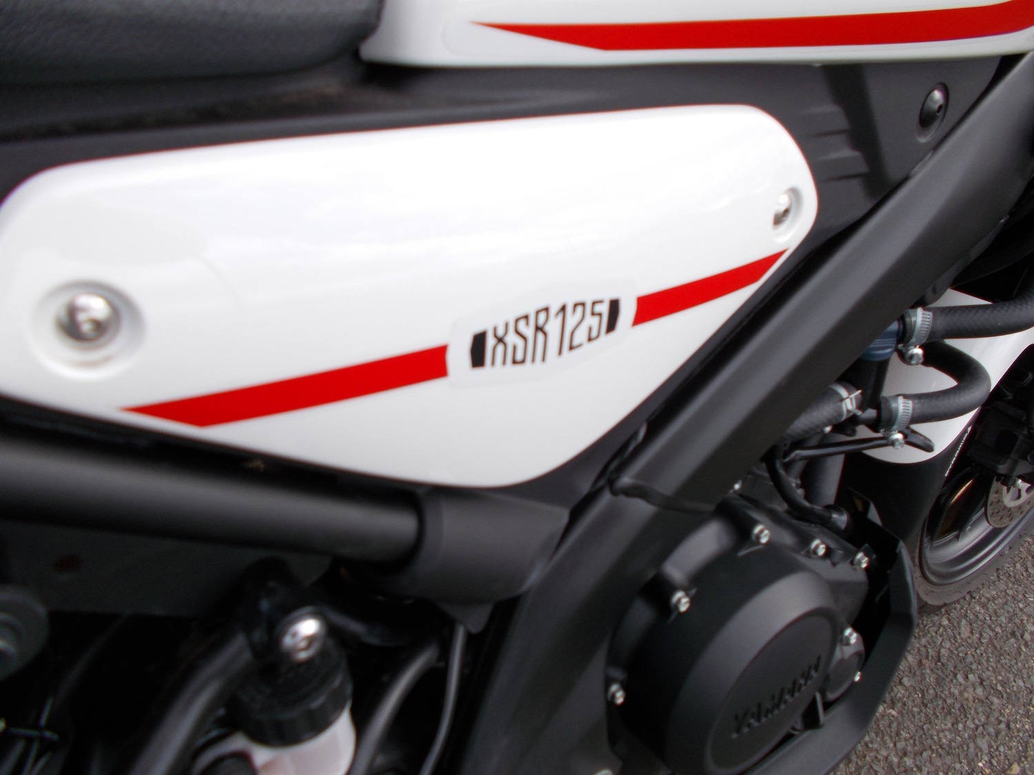 Used Yamaha XSR125 2024 for sale - 78599444: Photo 16