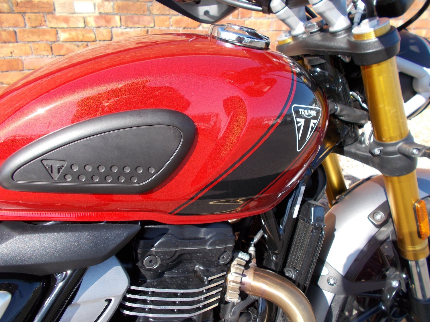 Used Triumph SCRAMBLER 400 X 2025 for sale - 78373775: Photo 8
