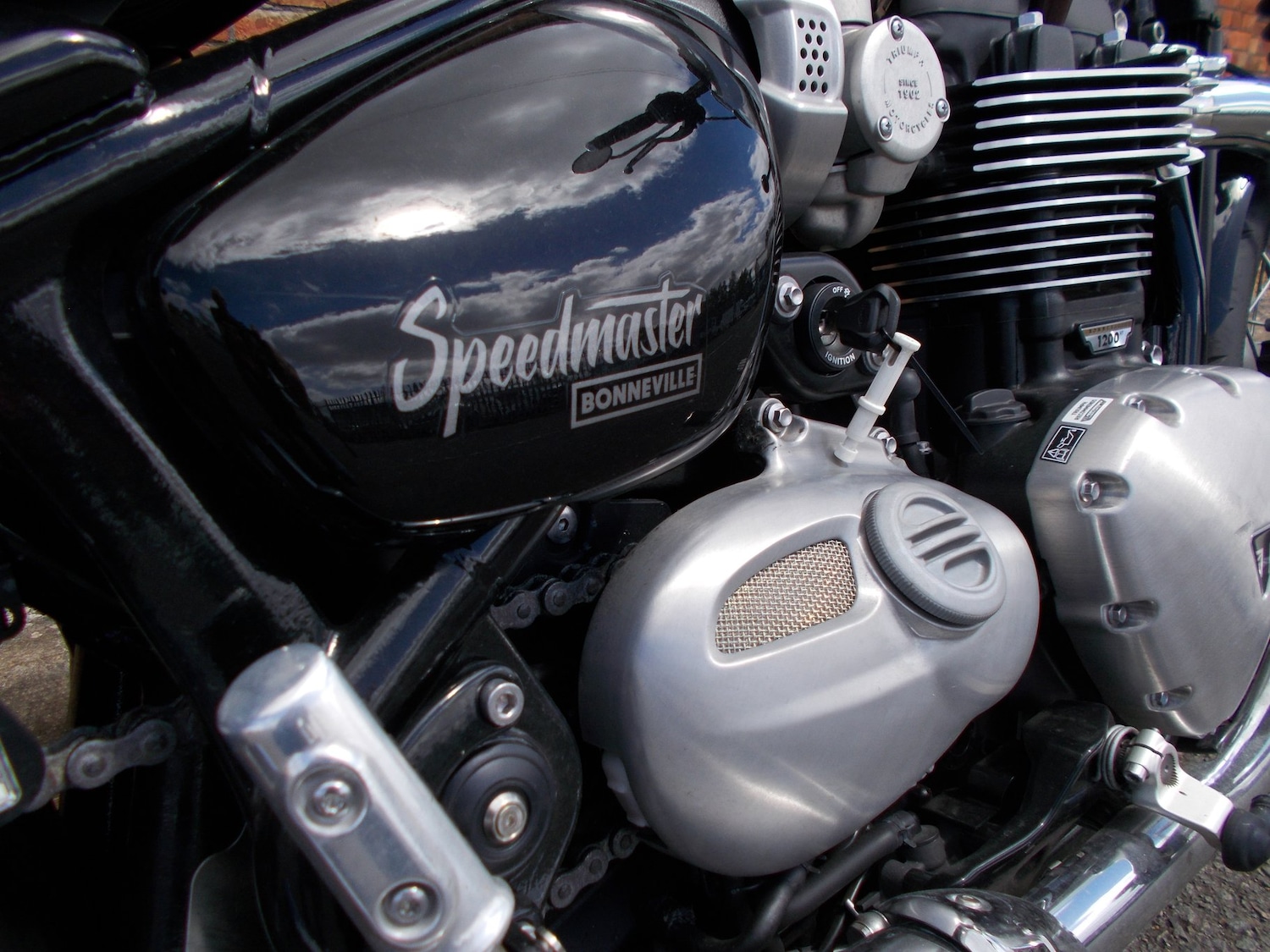 Used Triumph BONNEVILLE SPEEDMASTER 2024 for sale - 78909447: Photo 10